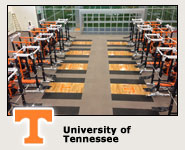 Tennessee University